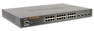 DGS-3024