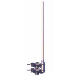 ant24_0800